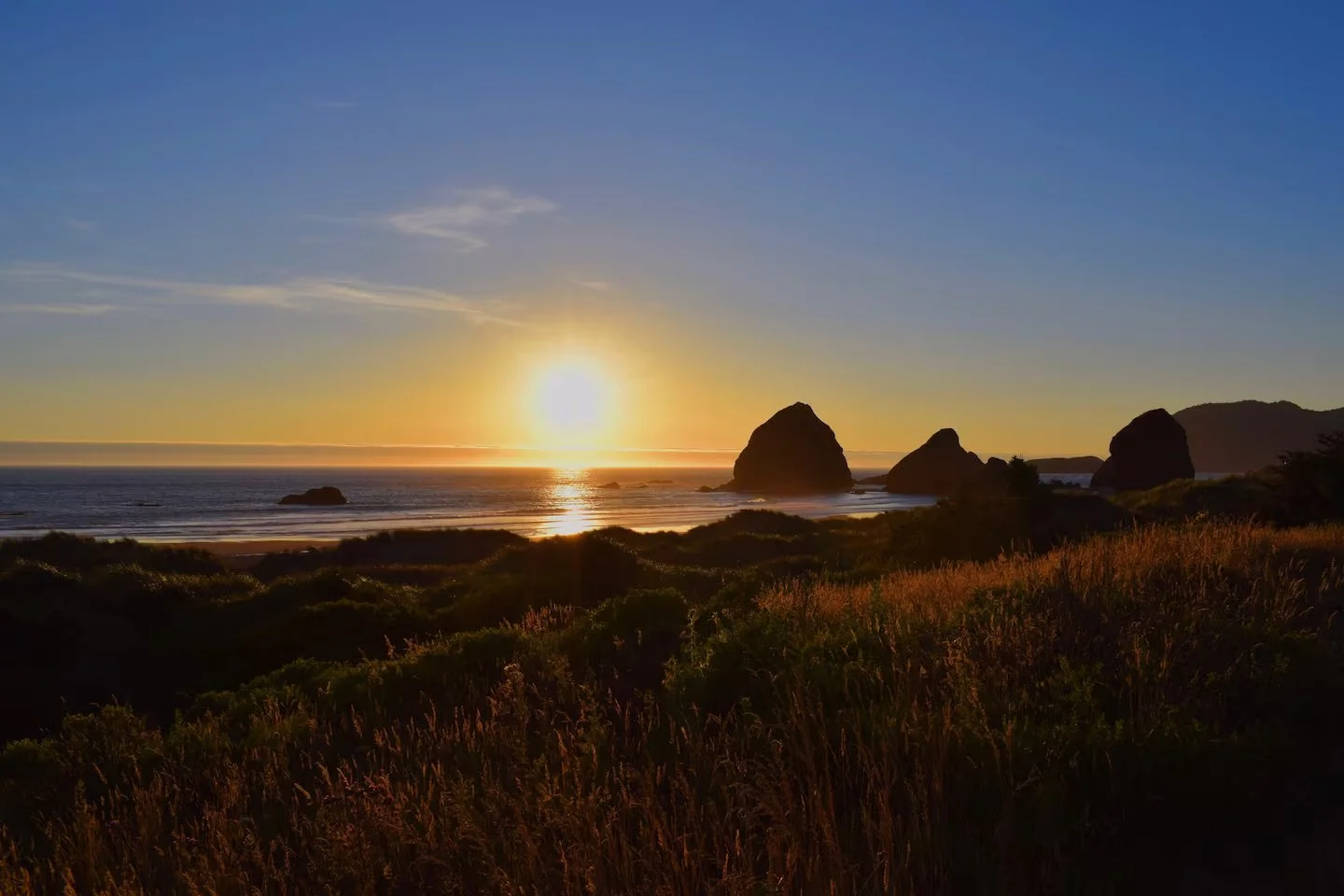 Sunset over ocean with large rock formations and greenery in foreground.