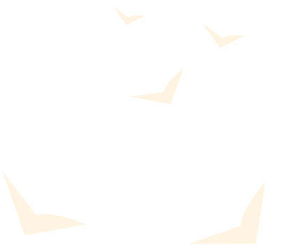 Silhouettes of four birds flying against a black background.