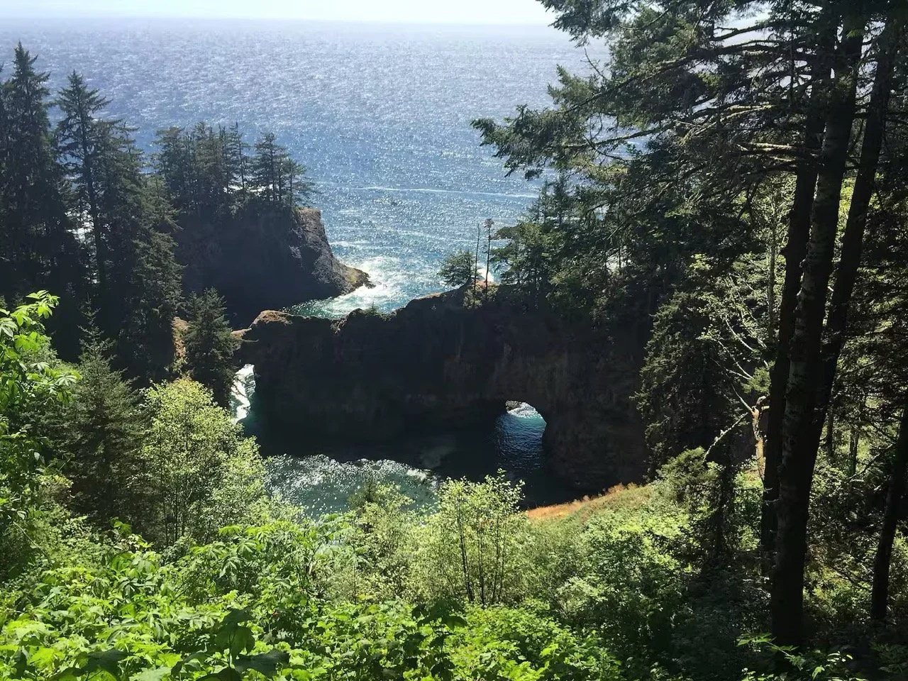 A coastal landscape featuring a natural rock formation arch surrounded by dense green trees, with the ocean in the background shining under sunlight.