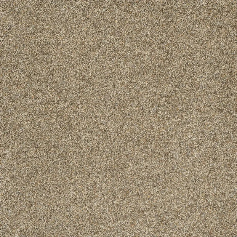 carpet.jpg