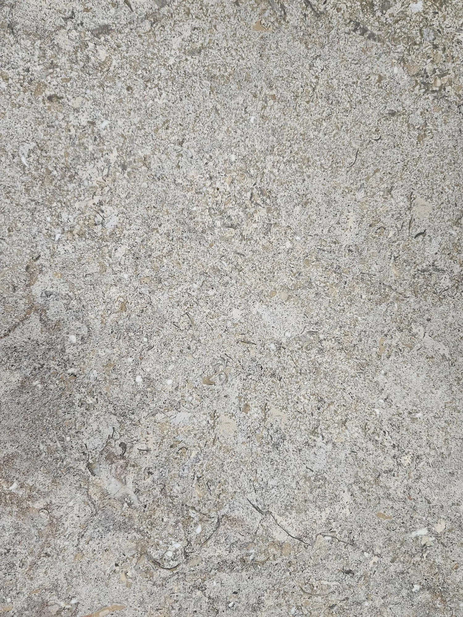24x24 DN 4 By Daltile