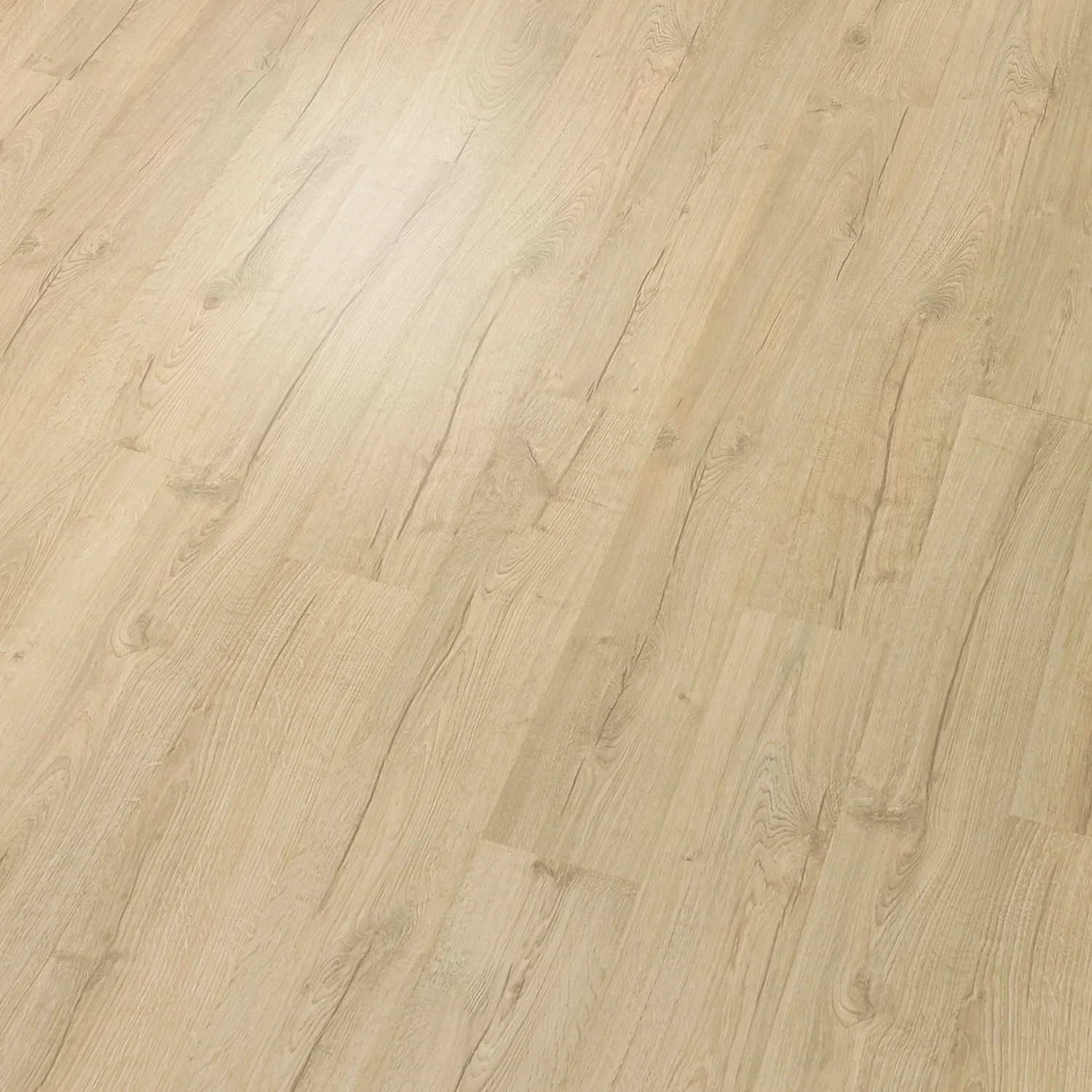 blond oak 3.webp