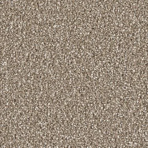 carpet 6.jpg