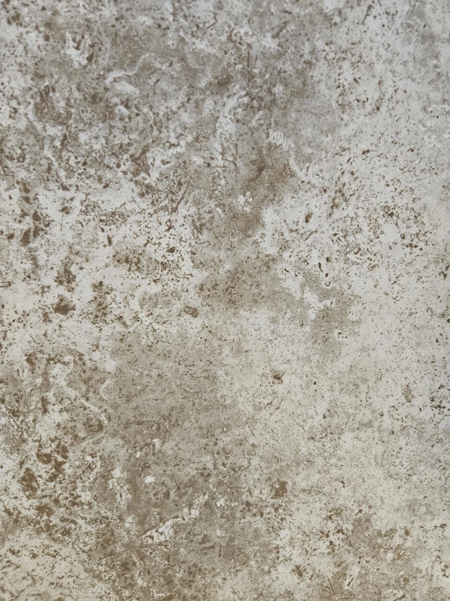 Cortno  Avario     20x20 Porcelain