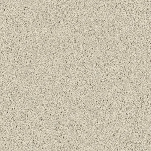 carpet 1.jpg