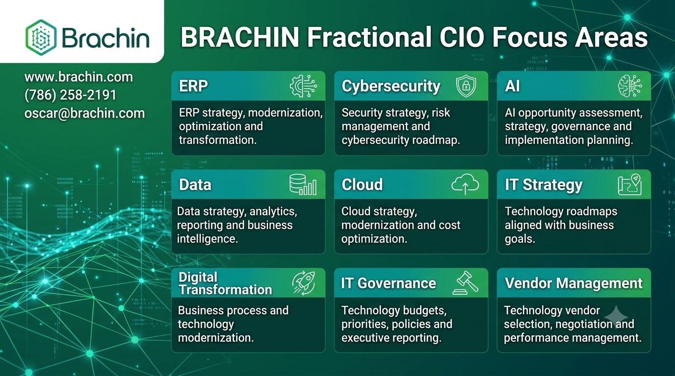 BRACHIN Fractional CIO Focus Areas