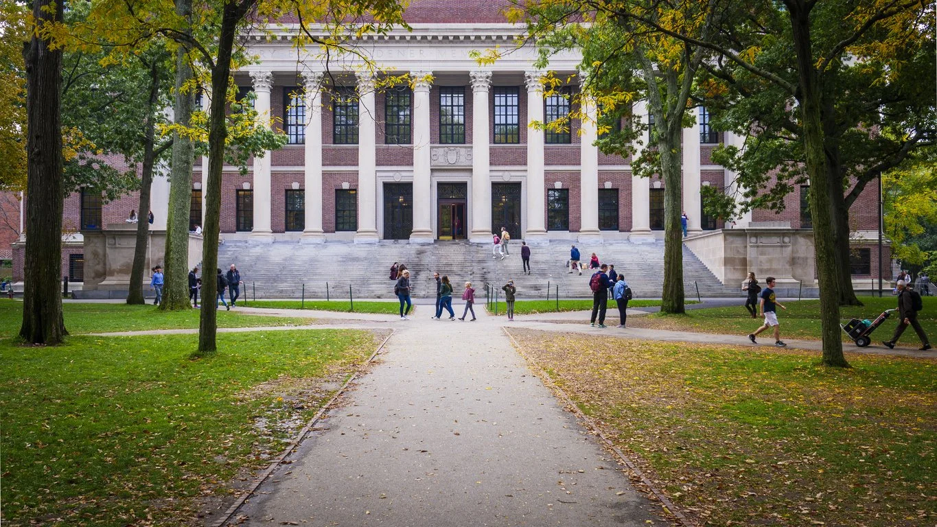 Finding Steady Ground in Higher Education's New Normal