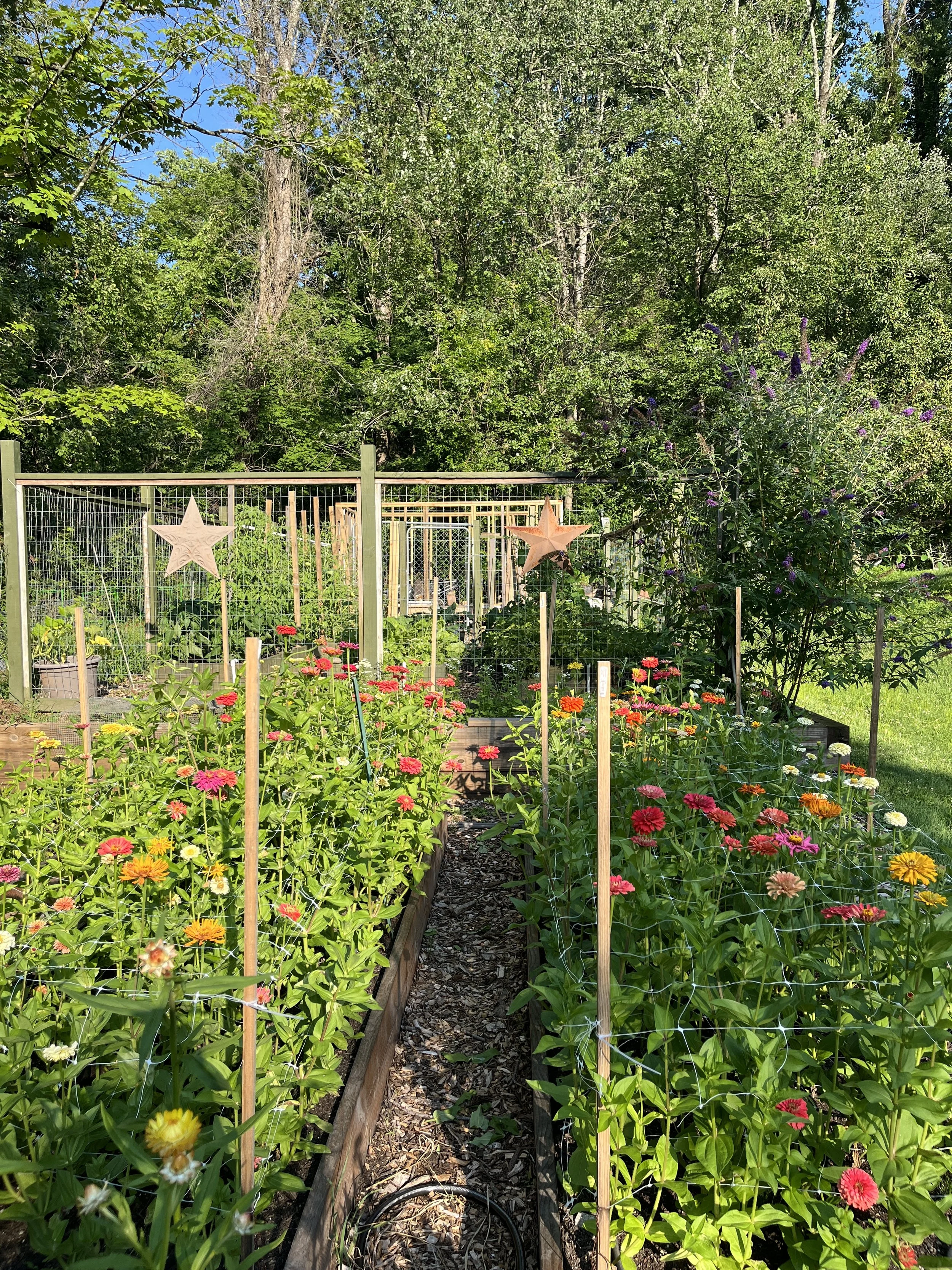 A vegetable garden with flowering plants in front, enclosed by a wire fence with star-shaped decorations hanging on it. Tall trees and blue sky in the background.