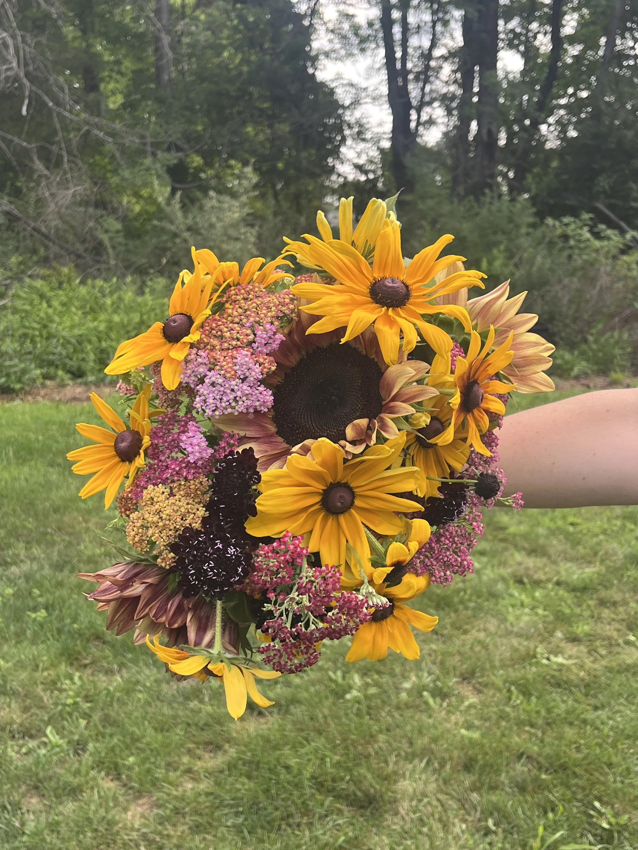 A vibrant bouquet of yellow, pink, and dark purple flowers held outdoors in front of greenery and trees.