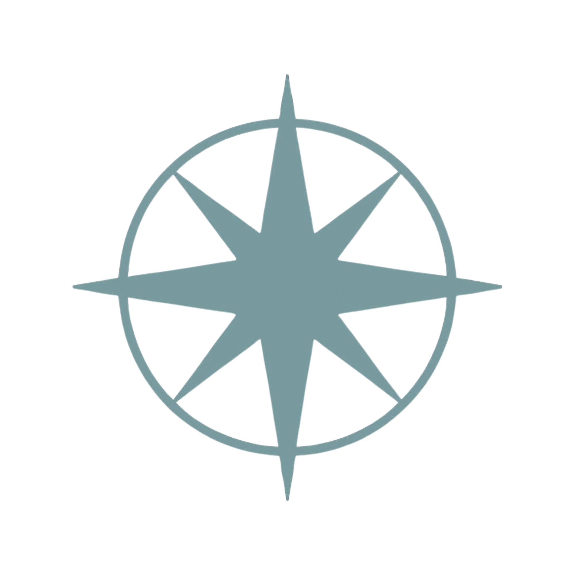 A stylized globe with a star-like symbol in the center.
