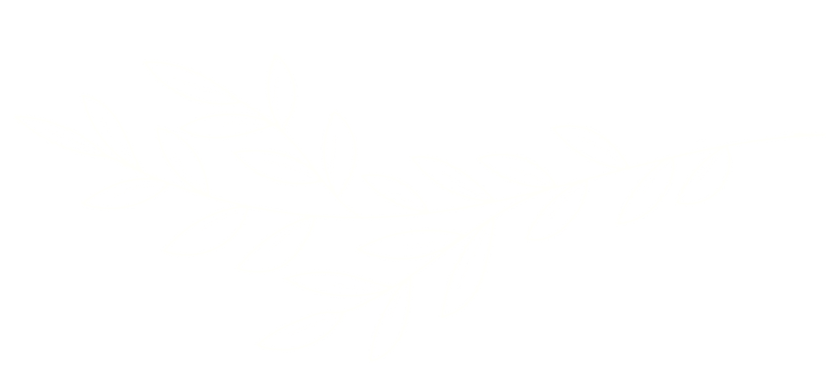 White outline of a leafy branch on a black background, graphic for Growing Sounds Speech and Language Therapy