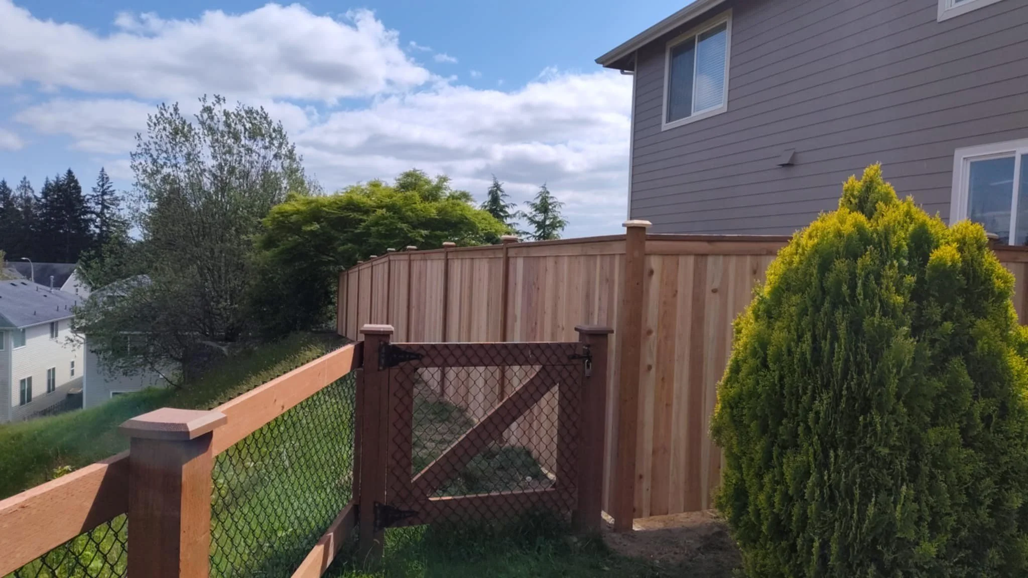 Backyard view featuring a new wooden privacy fence, trees, and a gray house siding with a window, under a partly cloudy sky.