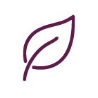 Simple line drawing of a leaf