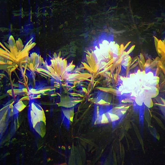 Fern Murphy - Violet Hours // Mixer, Producer