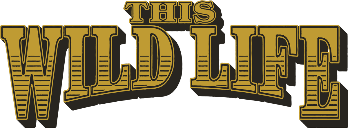 This Wild Life | Official Site