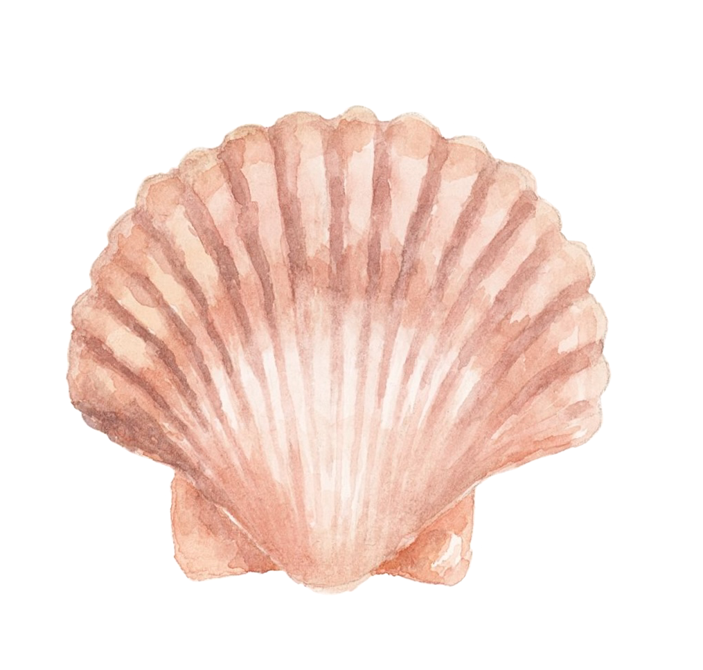shell.png