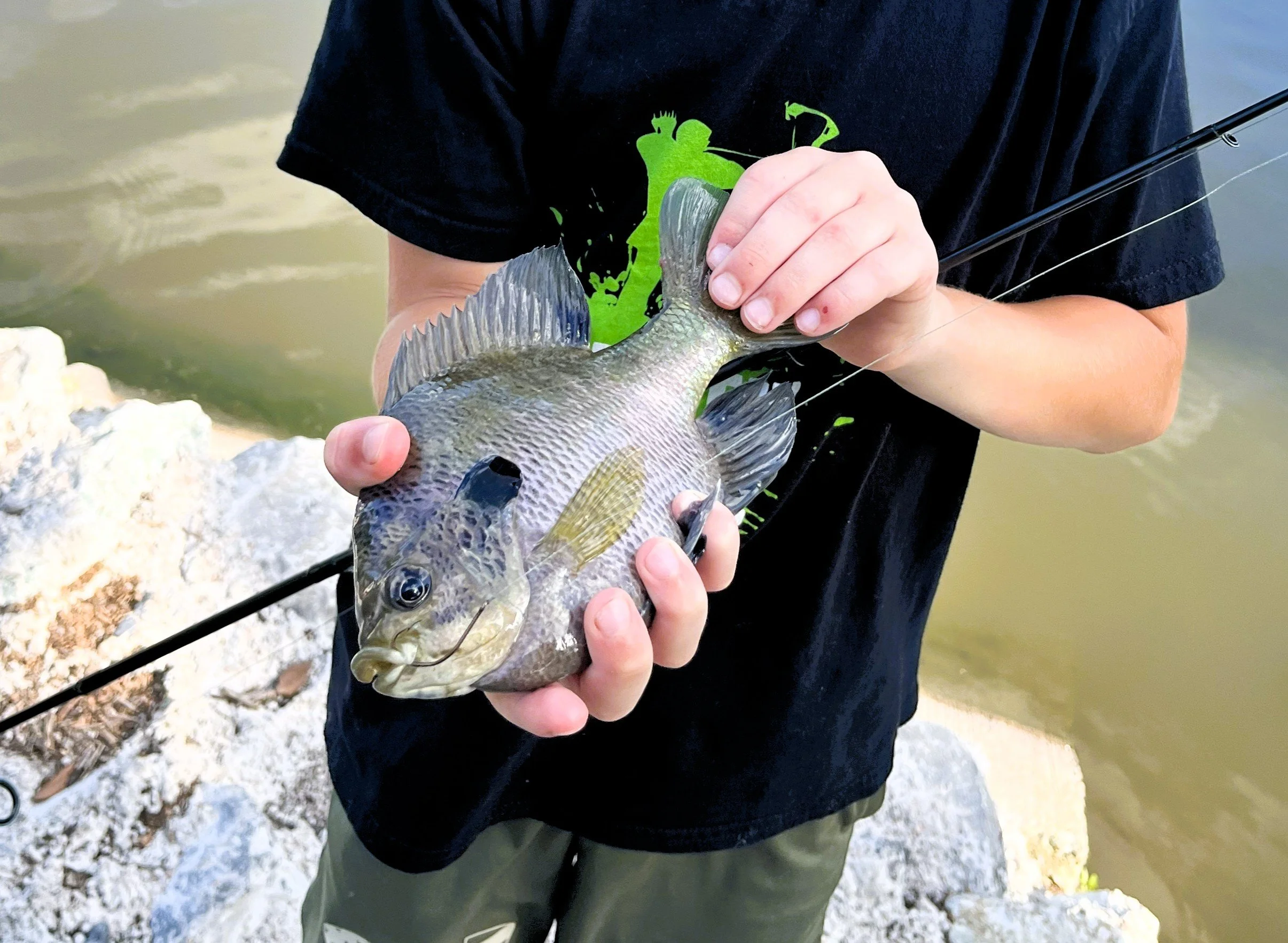 Bluegill Level
