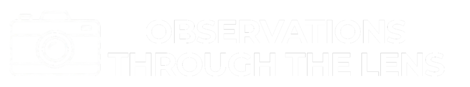 Observations Through the Lens