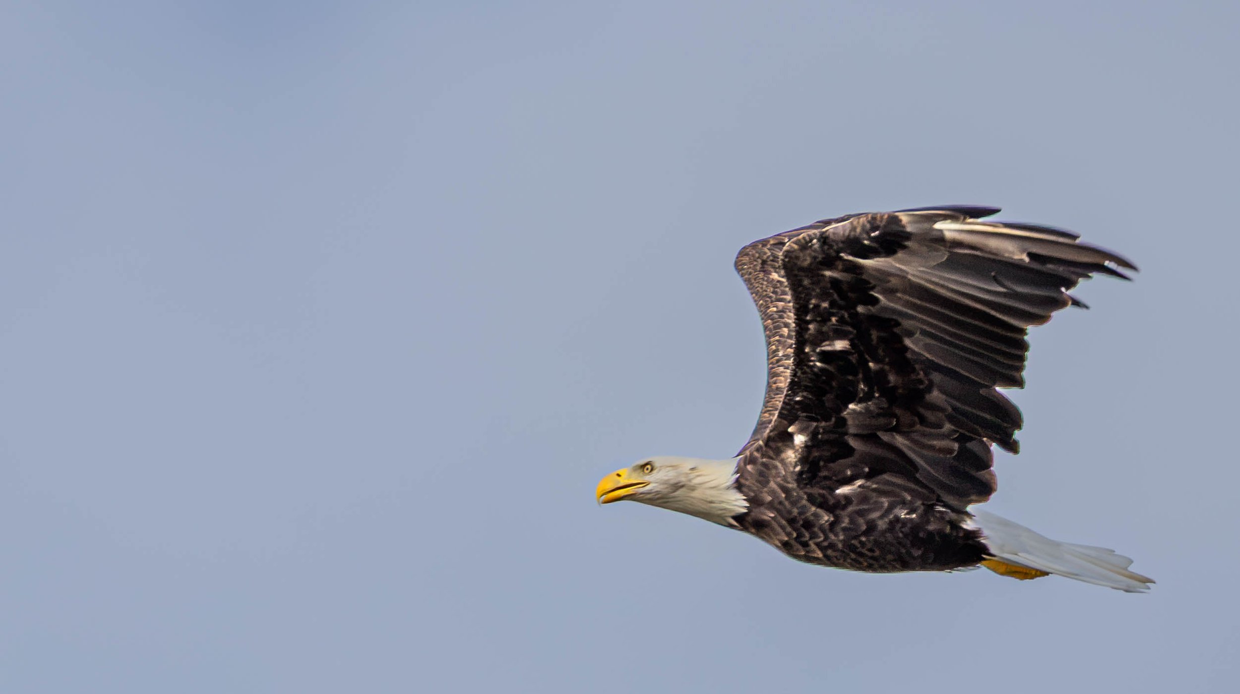 0X9A7847.jpg