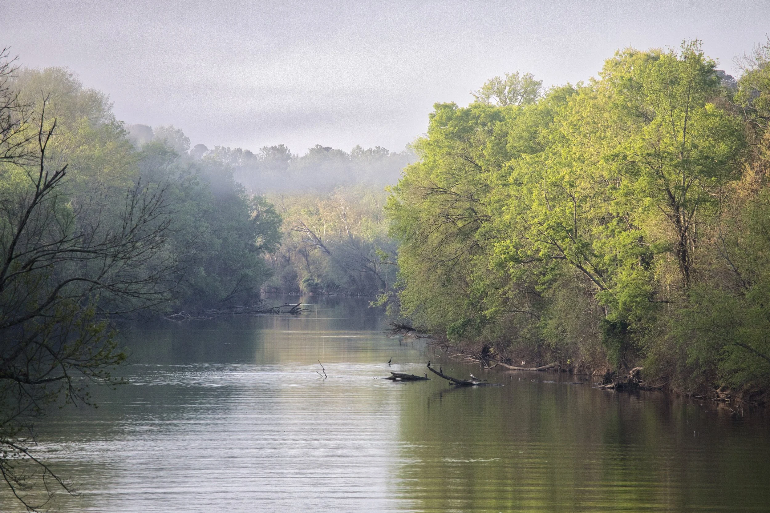 river scene.jpeg