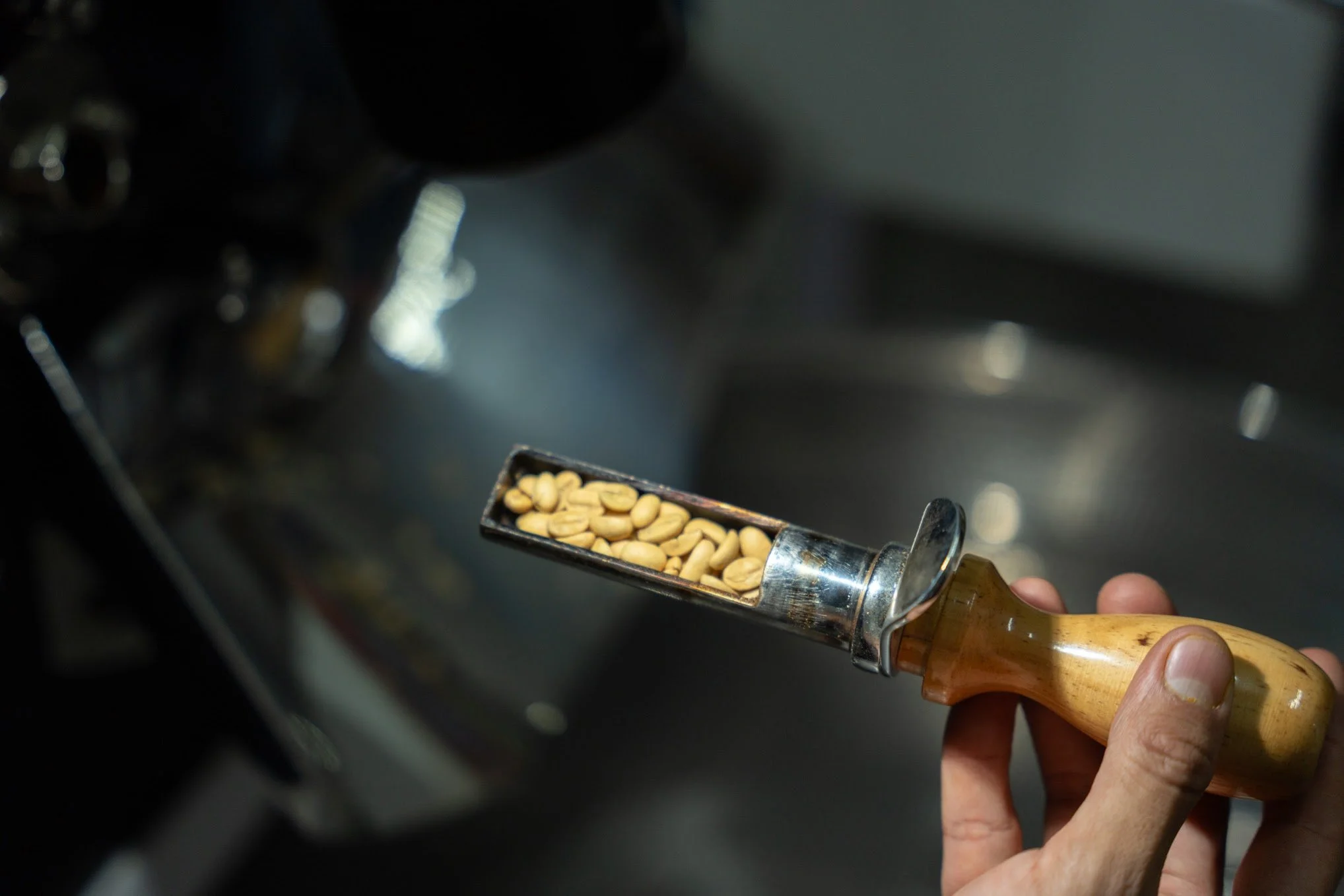 How I Decided to Host My First Coffee Experience in Oaxaca