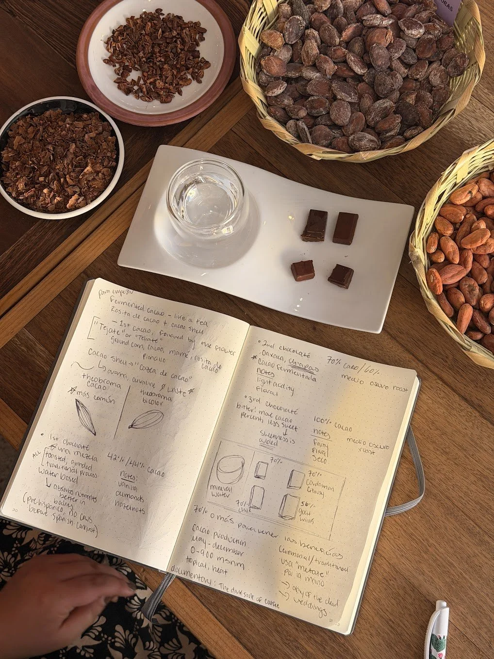 Various cacao beans, cacao shells, chopped cacao, and chocolate bars on a wooden table, along with a glass of water, notes, and a notebook with handwritten notes.