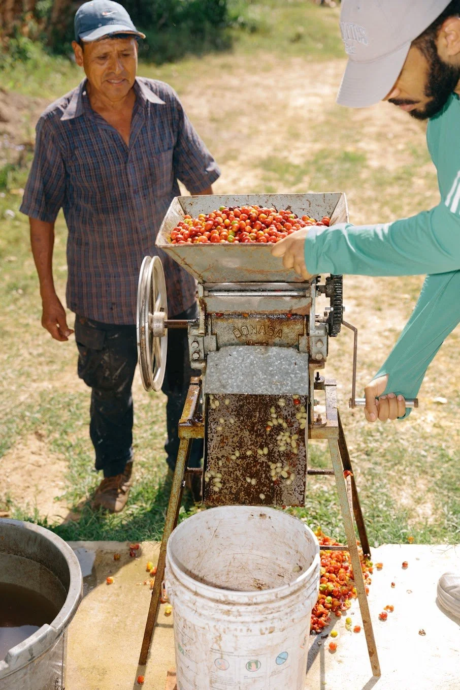 Two men are processing coffee cherries using a manual depulping machine in an outdoor setting.