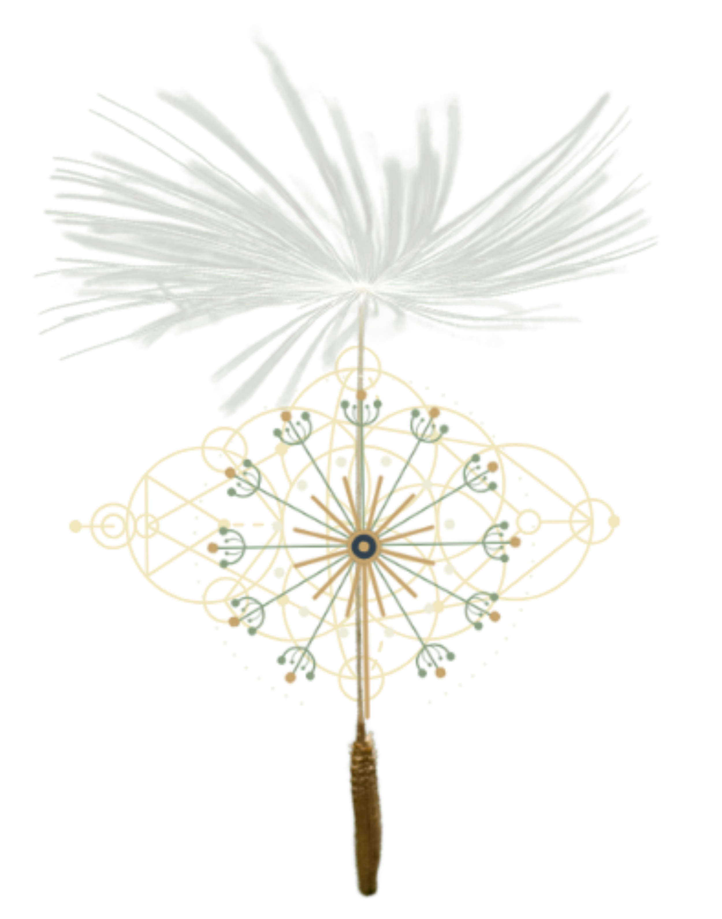 Une aigrette de pissenlit, entourée de plusieurs cercles avec des motifs élaborés de geométrie sacrée.