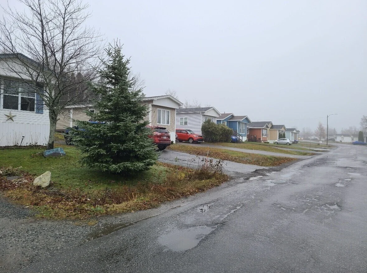A street view of a neighborhood on a cloudy, rainy day with wet pavement, multiple houses with driveways, and parked cars, including an evergreen tree and a leafless tree in the foreground.