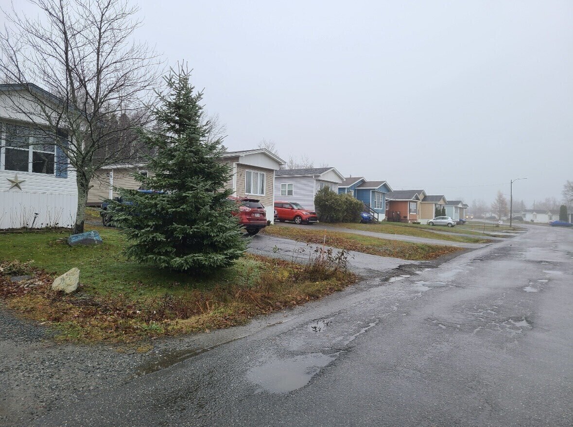 A residential street on a foggy day with several houses, parked cars, a small tree, and an asphalt road showing some wet patches.