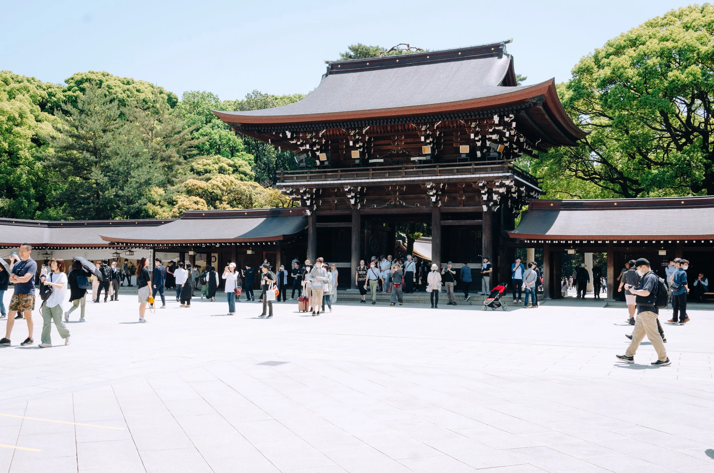 Meiji Jingu [Shrine] - Tokyo, Japan 