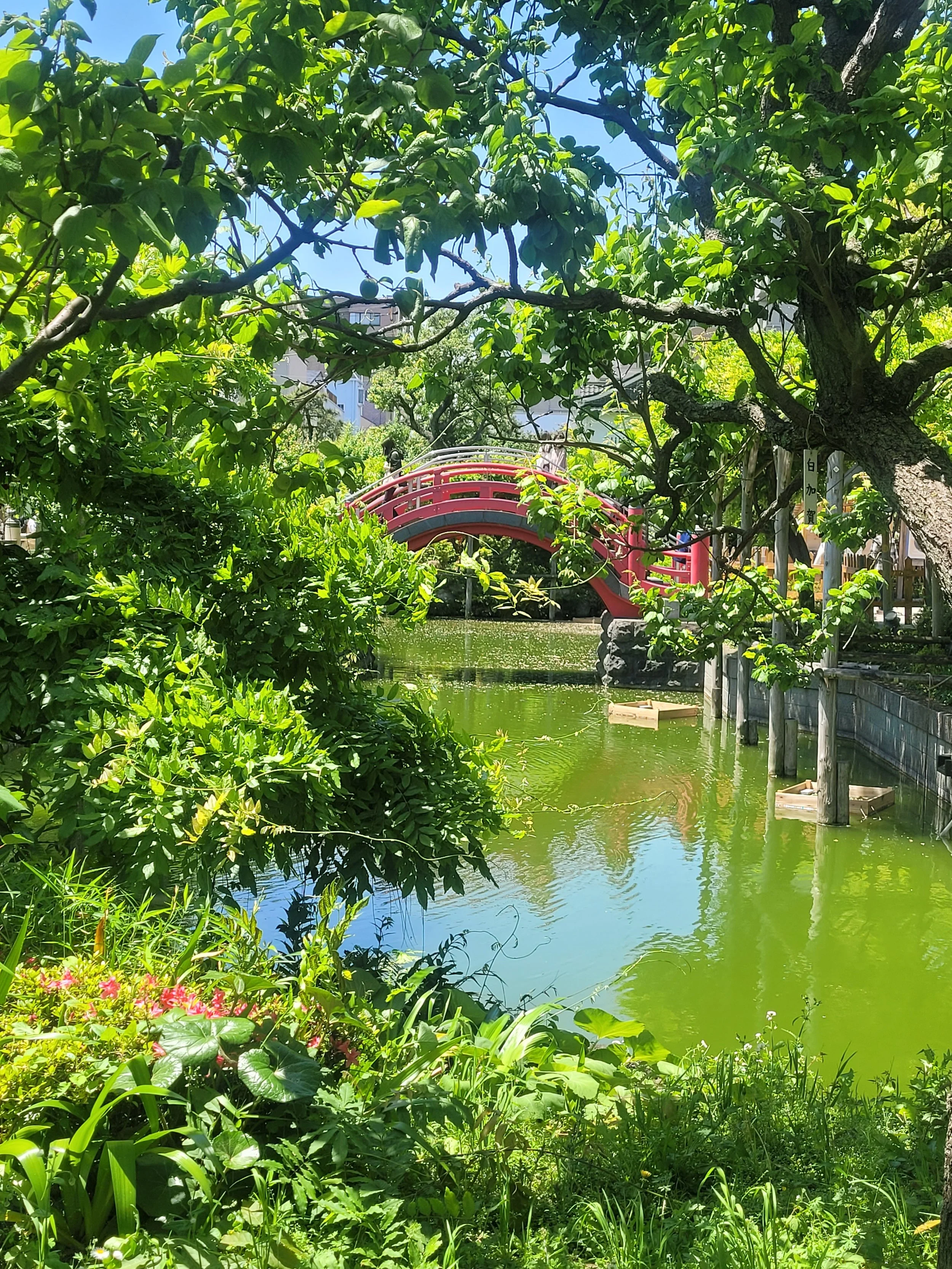 Kameido Tenjin Shrine - Tokyo, Japan 