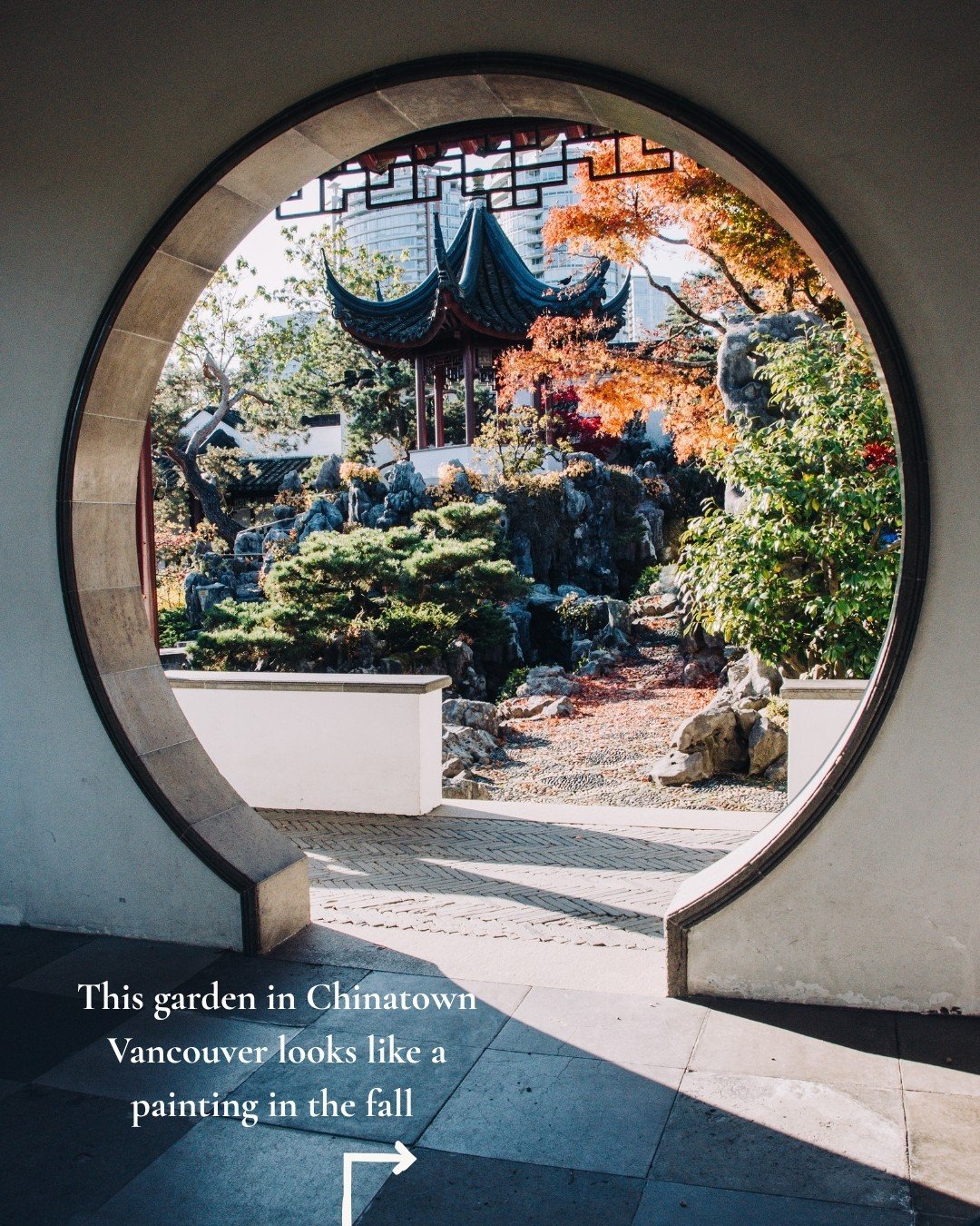 📩 Send this to your fall bestie. The Dr. Sun Yat-Sen Classical Chinese Garden in Chinatown Vancouver in the fall is something else. The leaves were changing and the whole garden looked like someone painted it that morning. I spent way too long stari
