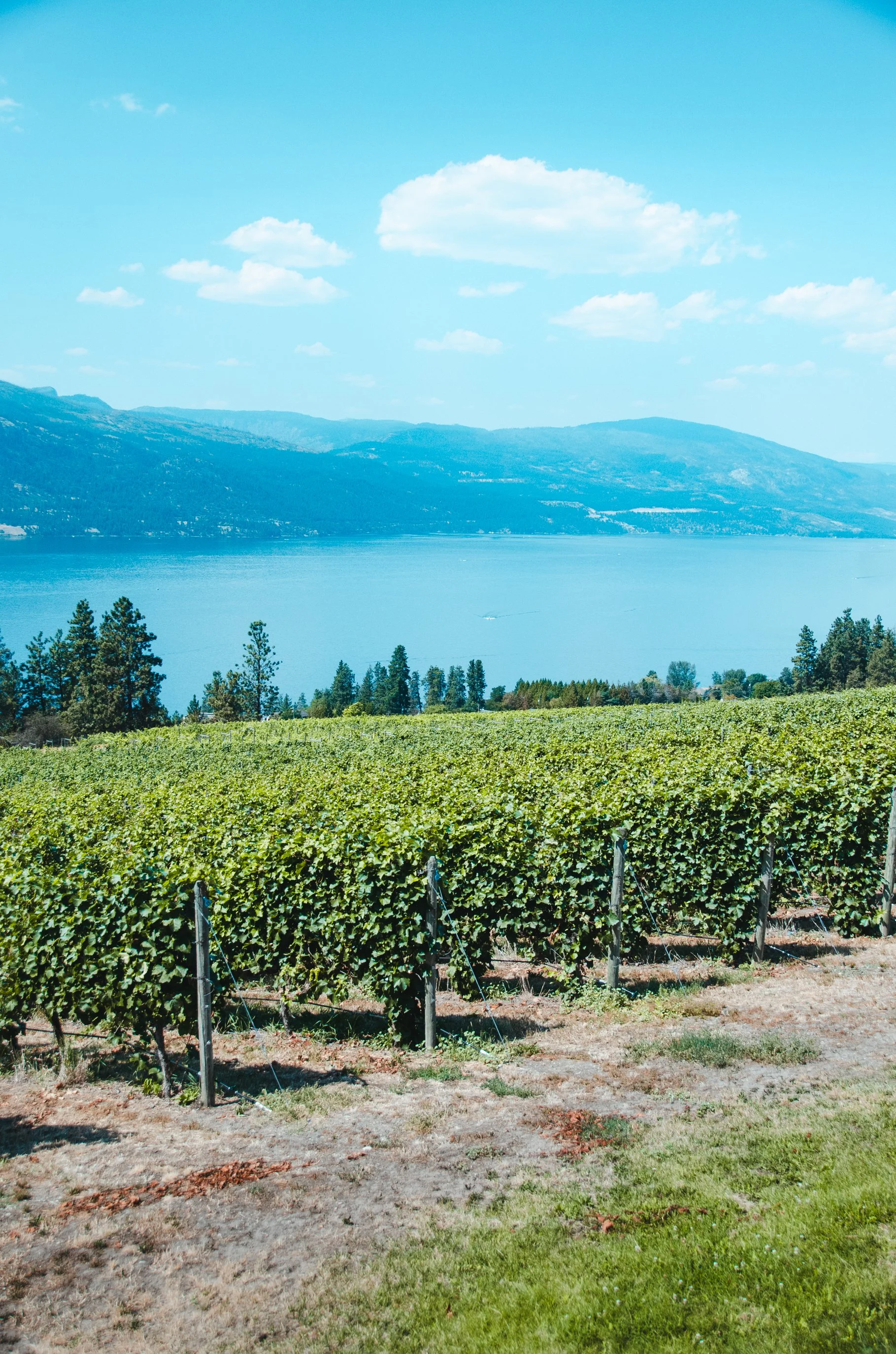Okanagan August long SM2024-70.jpg