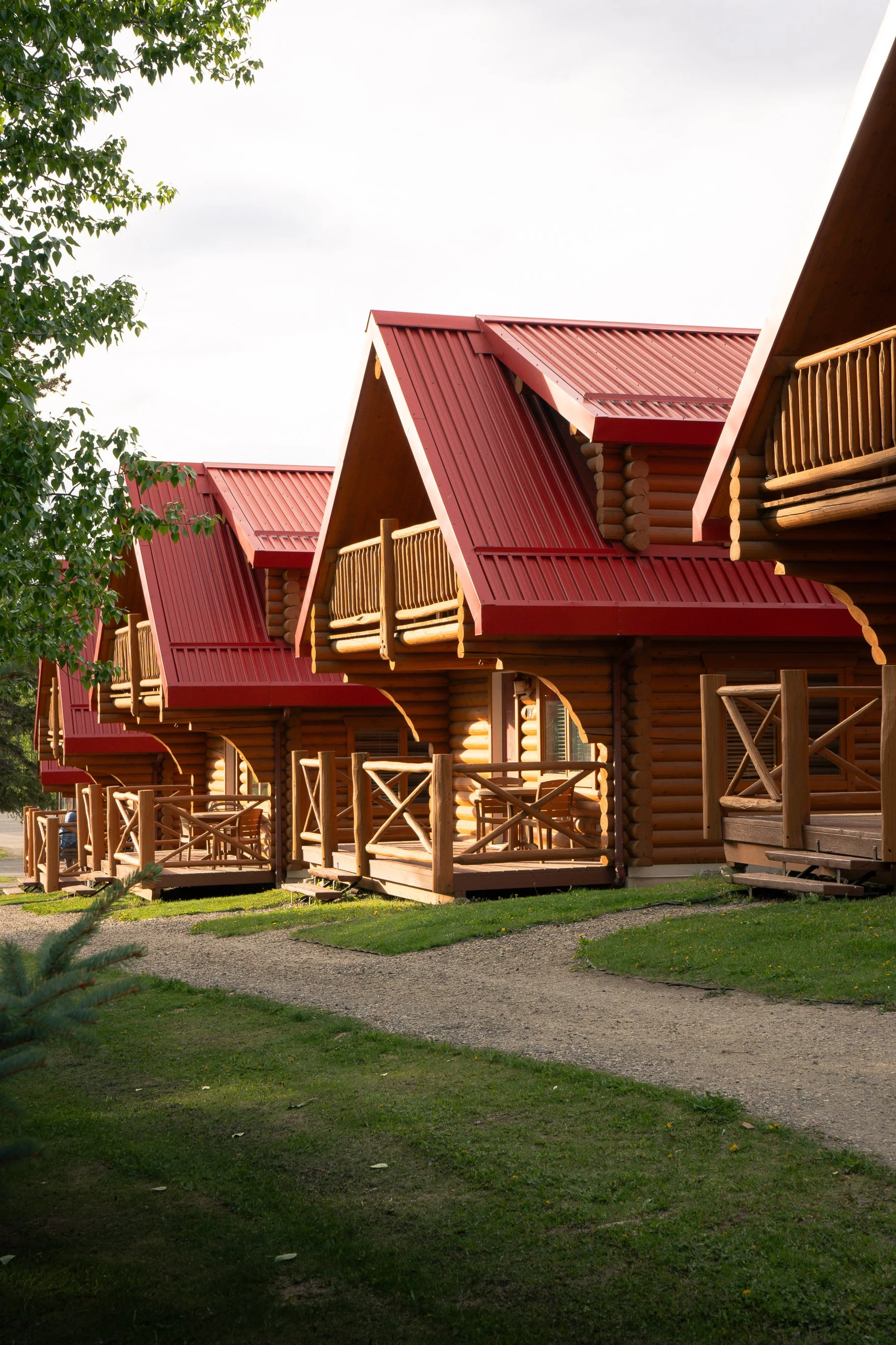Jasper 2026 -04463.jpg