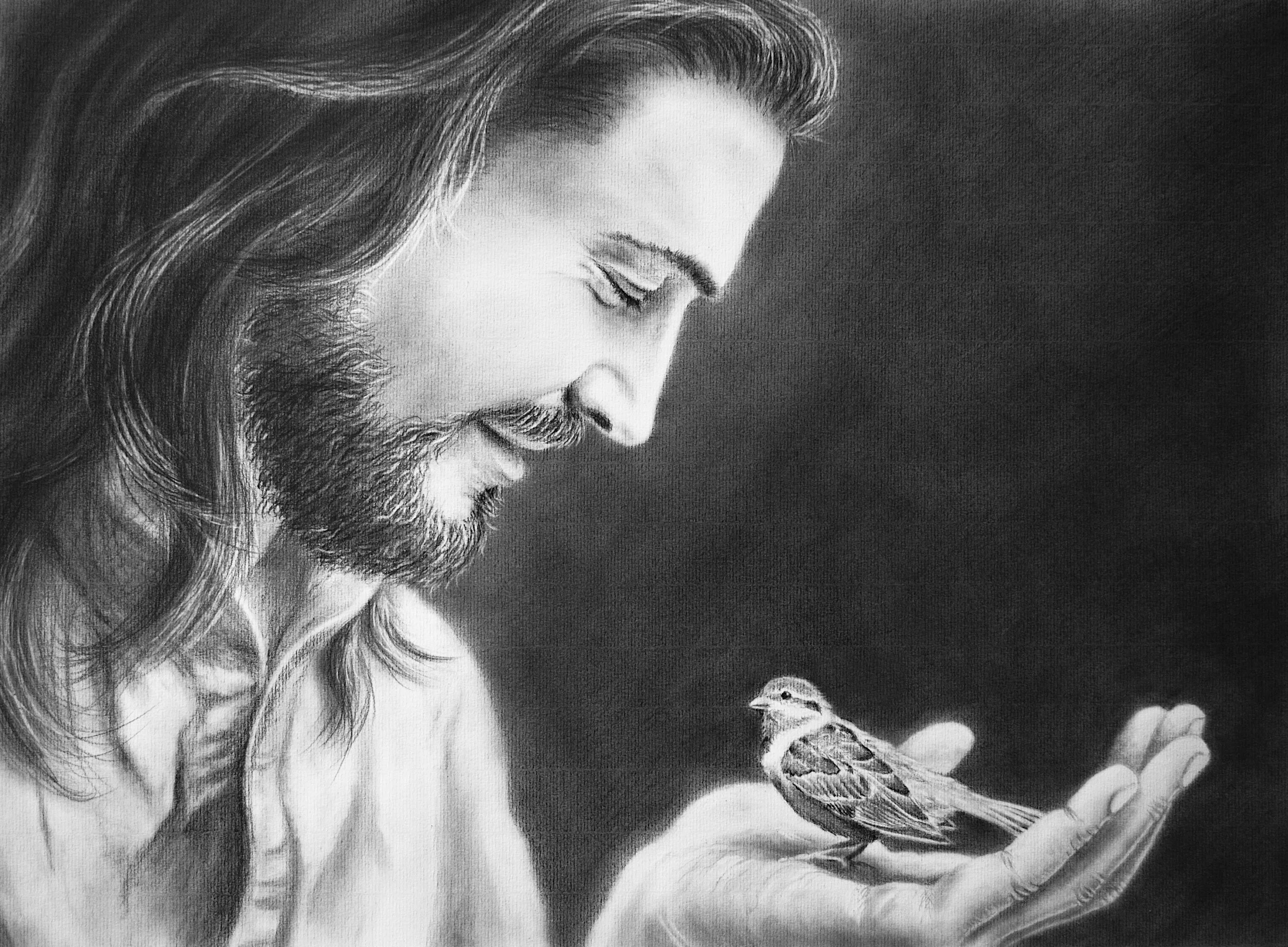 The Wonder of the Sparrow: What Jesus Reveals About God's Loving Attention
