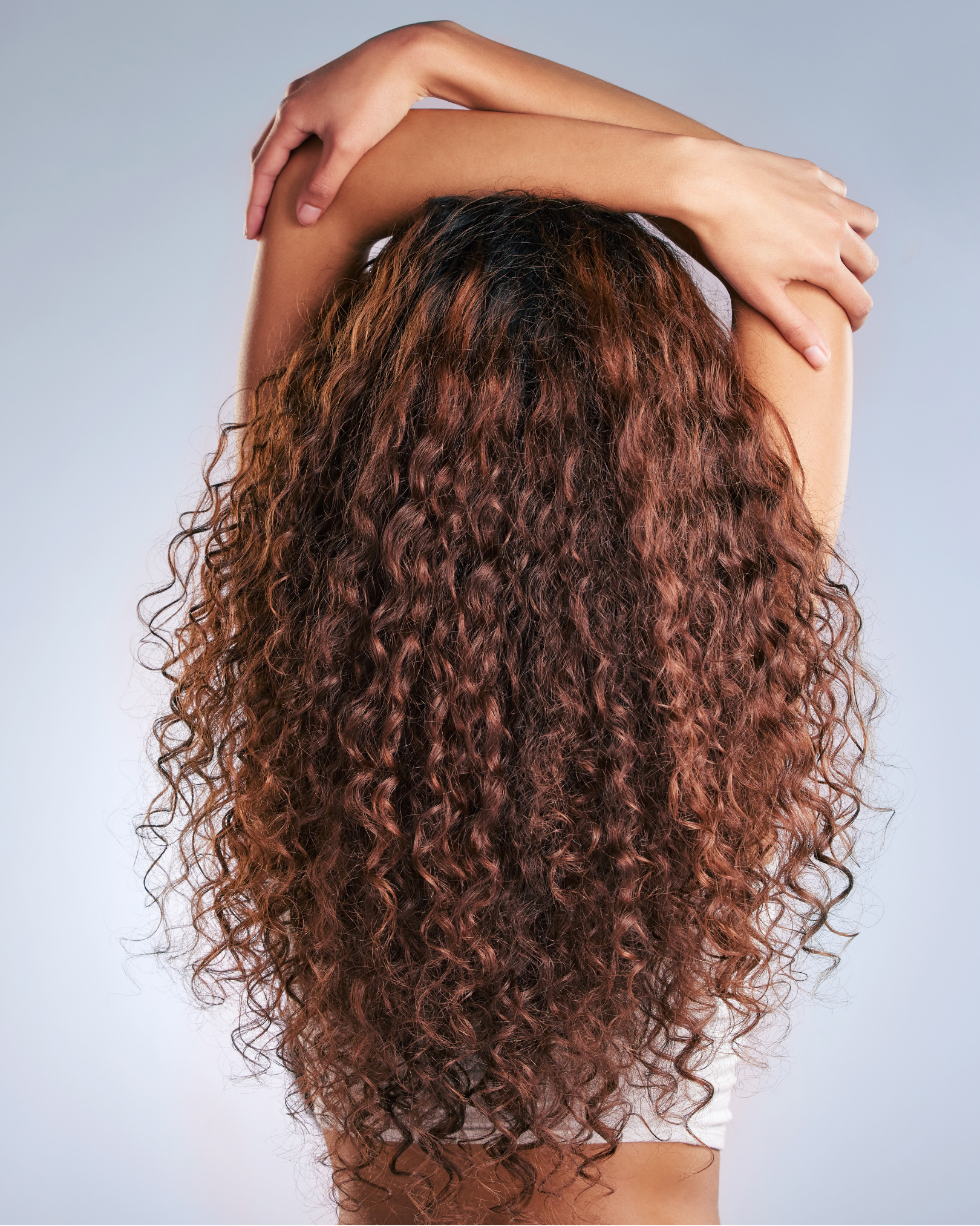 Person with long, curly brown hair stands with arms raised above head showing a curly hair blowout, viewed from behind against a light background.