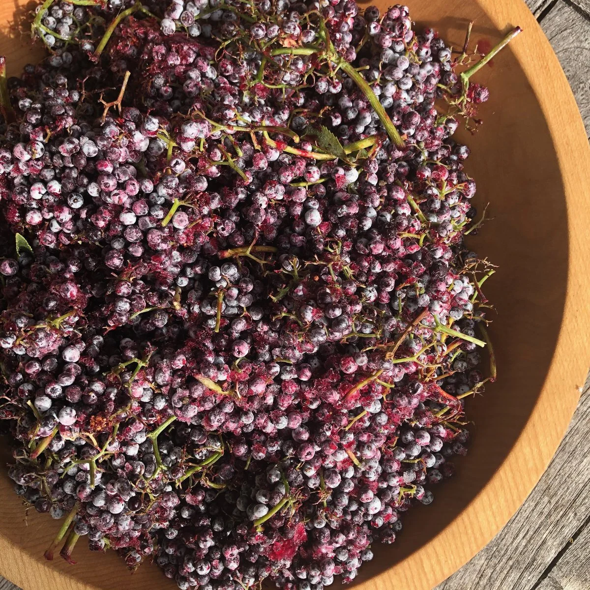 Bunches of black grapes with some purple hues in a wooden bowl on a wooden surface.