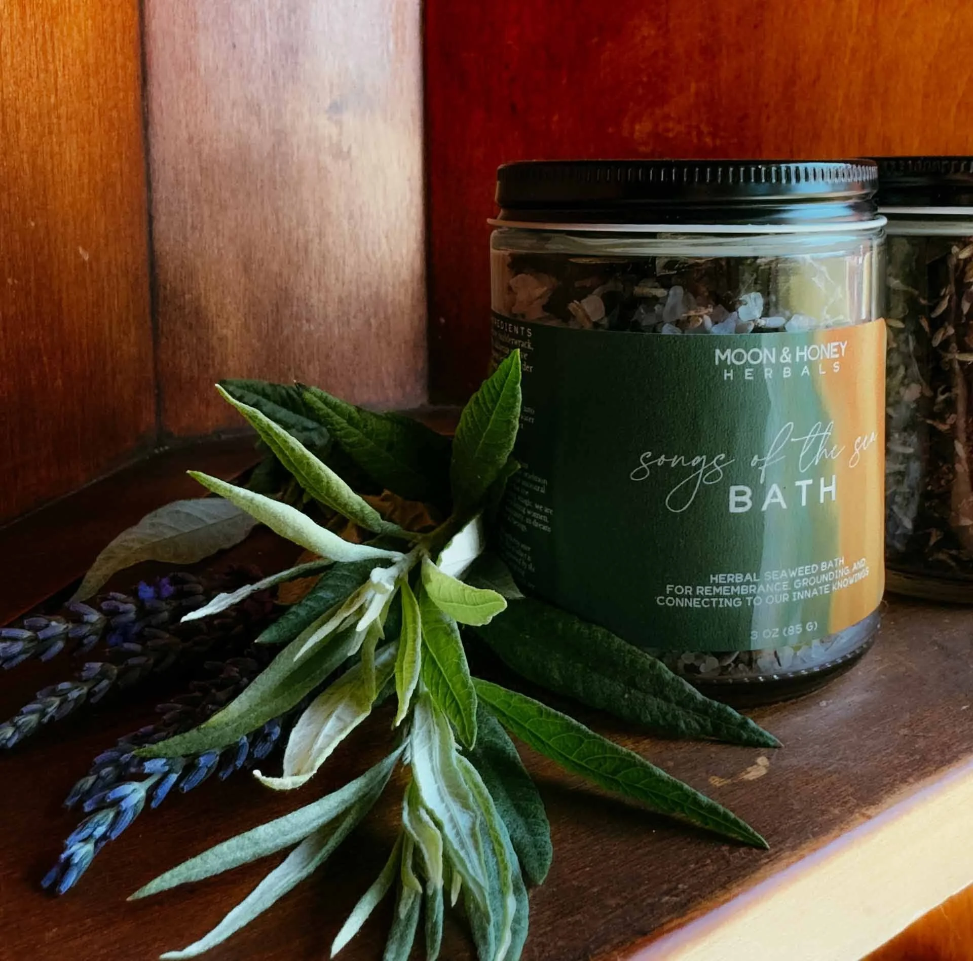 Botanical Seaweed Bath for Grounding and Ritual.jpg