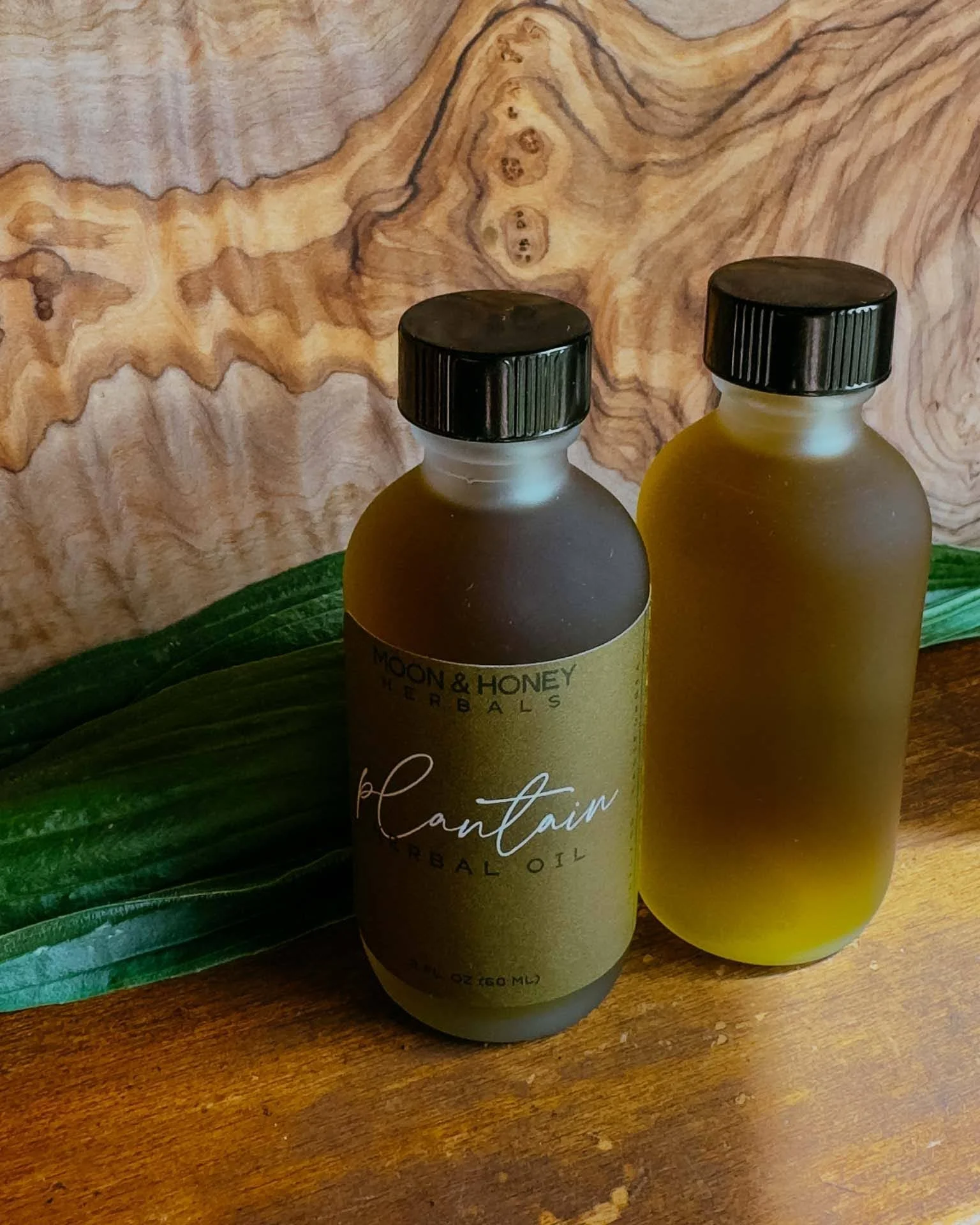 plantain herbal oil