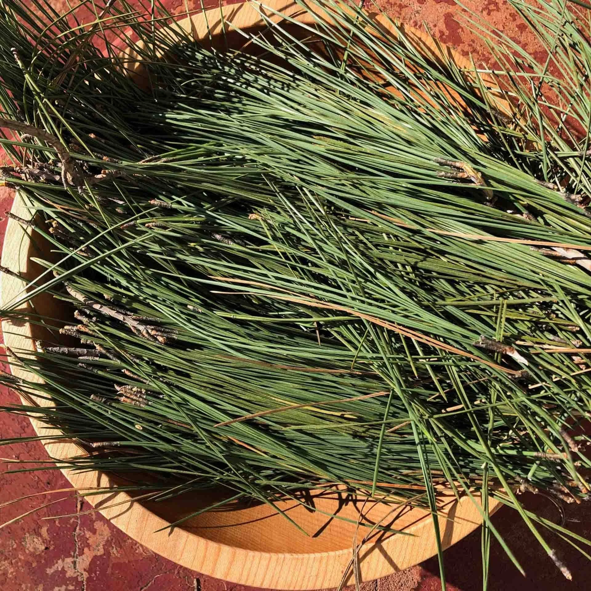 Small Batch Ghost Pine Herbal Oil.jpg