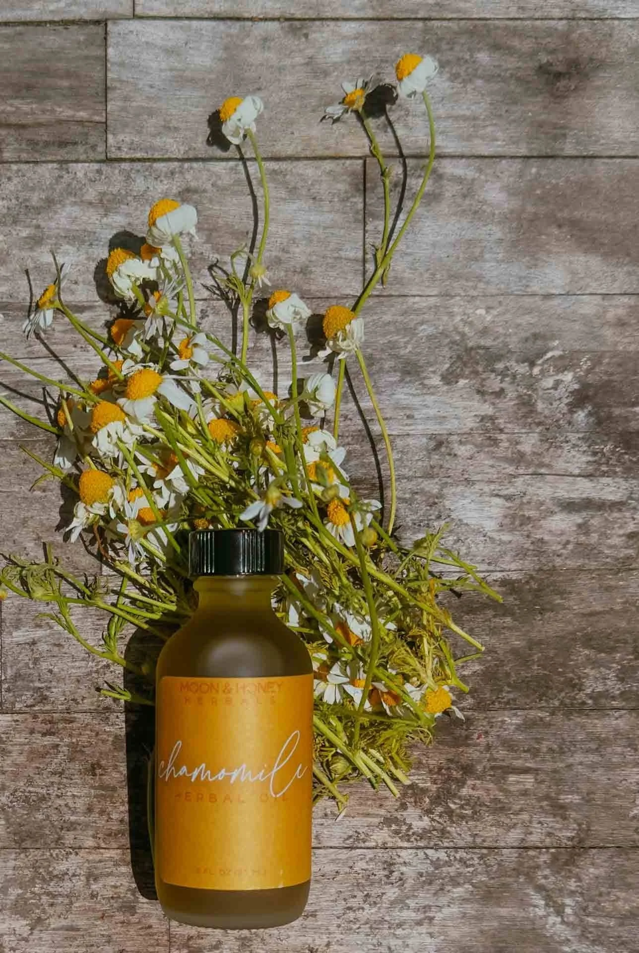 chamomile herbal oil