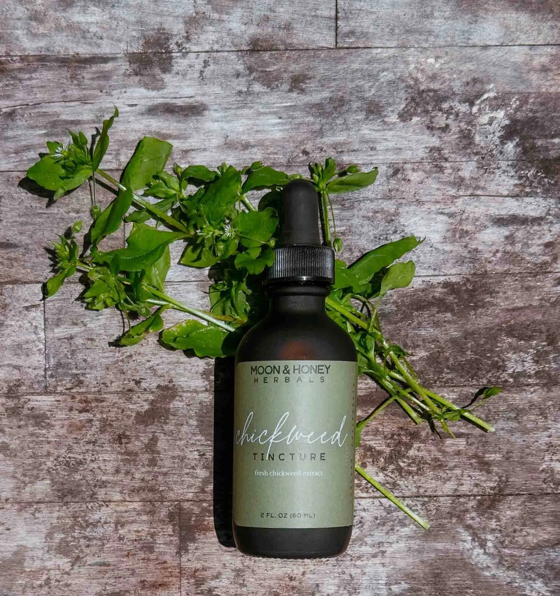 Chickweed Tincture Moon and Honey.jpg