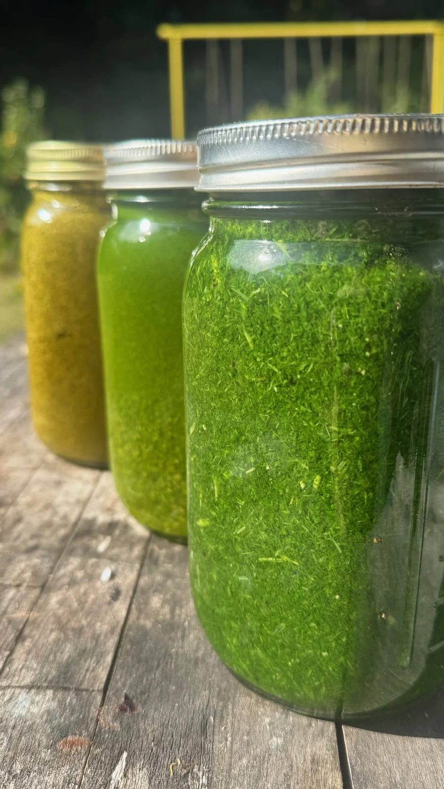 Three glass jars filled with green, yellow, and blended herbal liquids, placed on a weathered wooden surface outdoors with a yellow metal frame structure in the background.