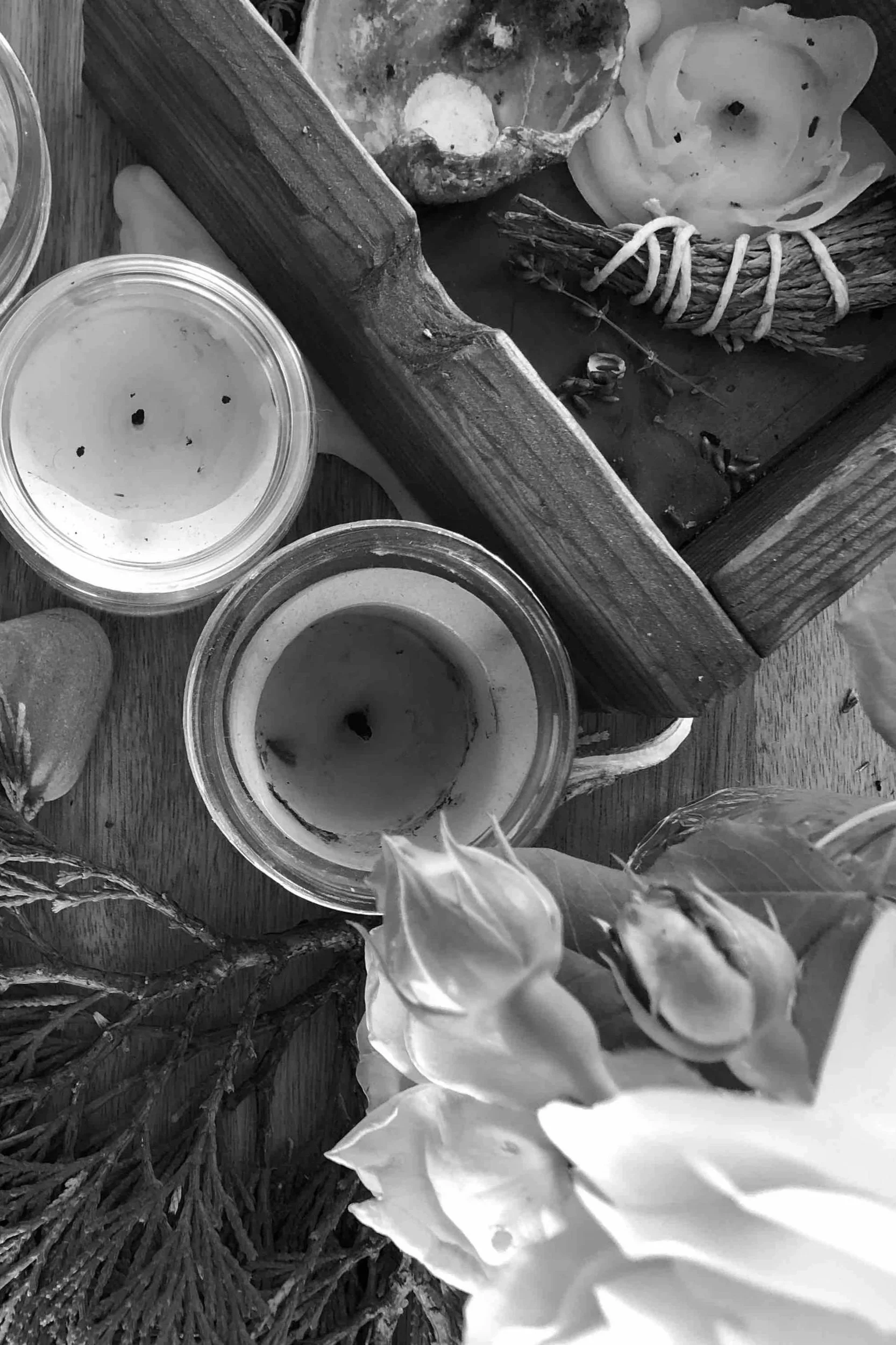 Close-up of plants, candles, and natural objects on a wooden surface in black and white.
