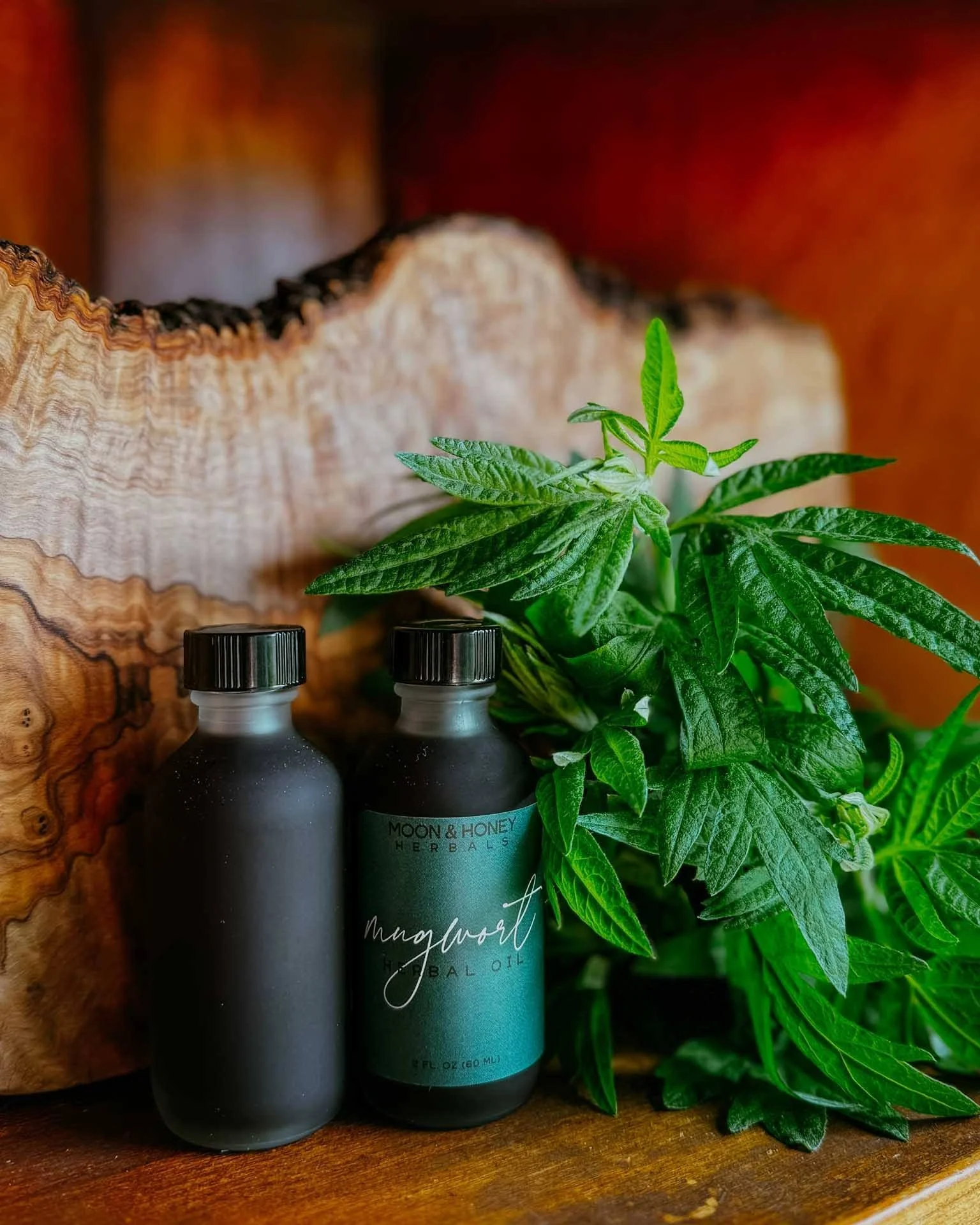 Mugwort Herbal Body Oil Moon and Honey.jpg