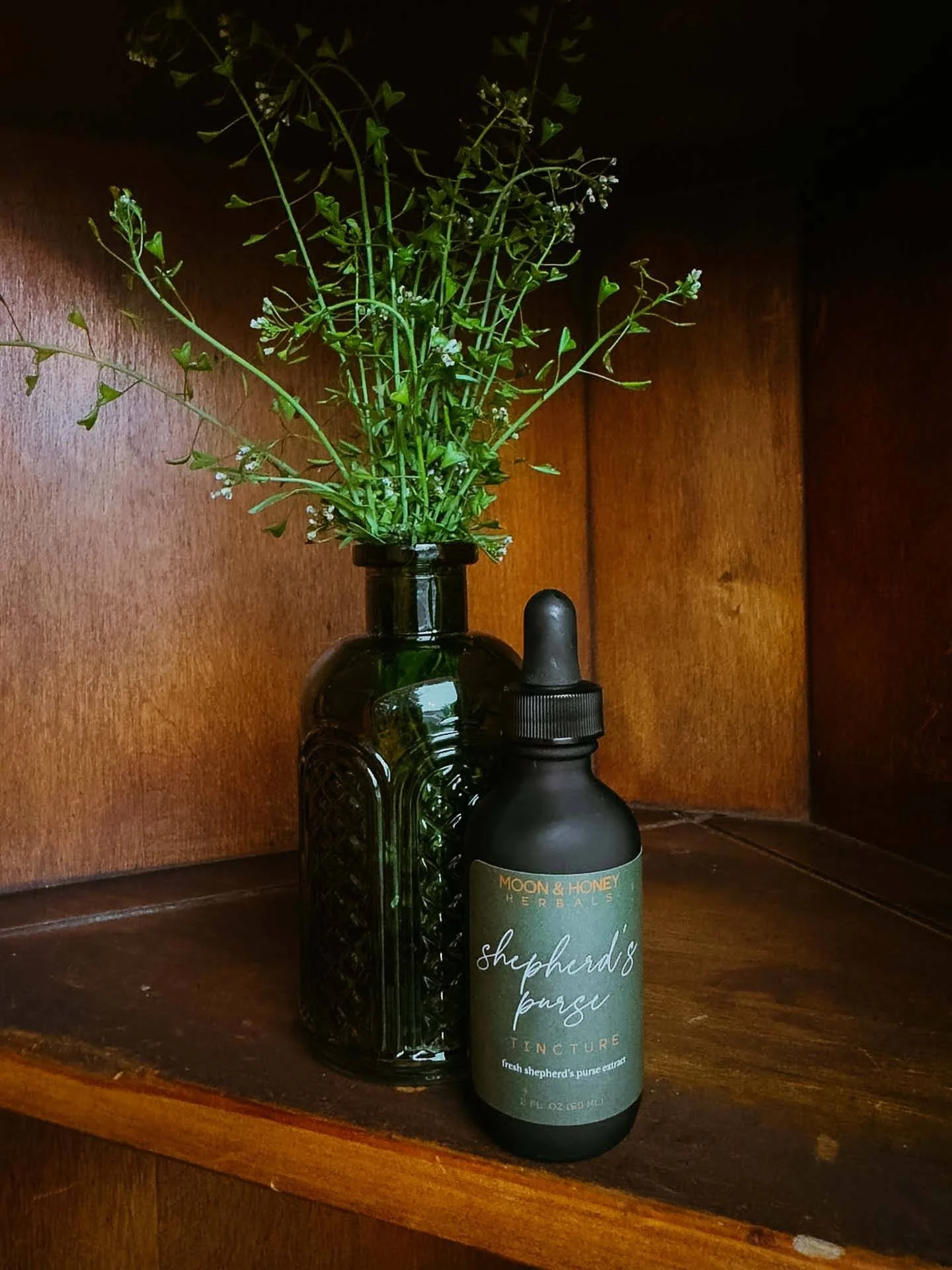 shepherd’s purse tincture
