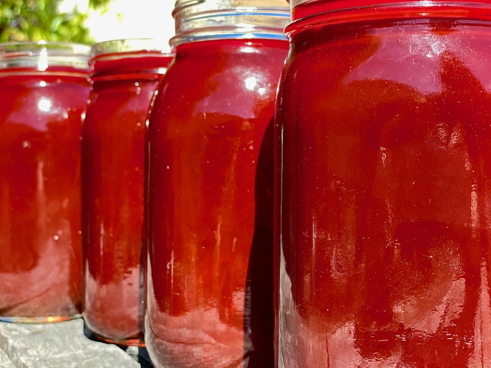 Close-up of four glass jars filled with red jam or preserves outdoors on a sunny day.