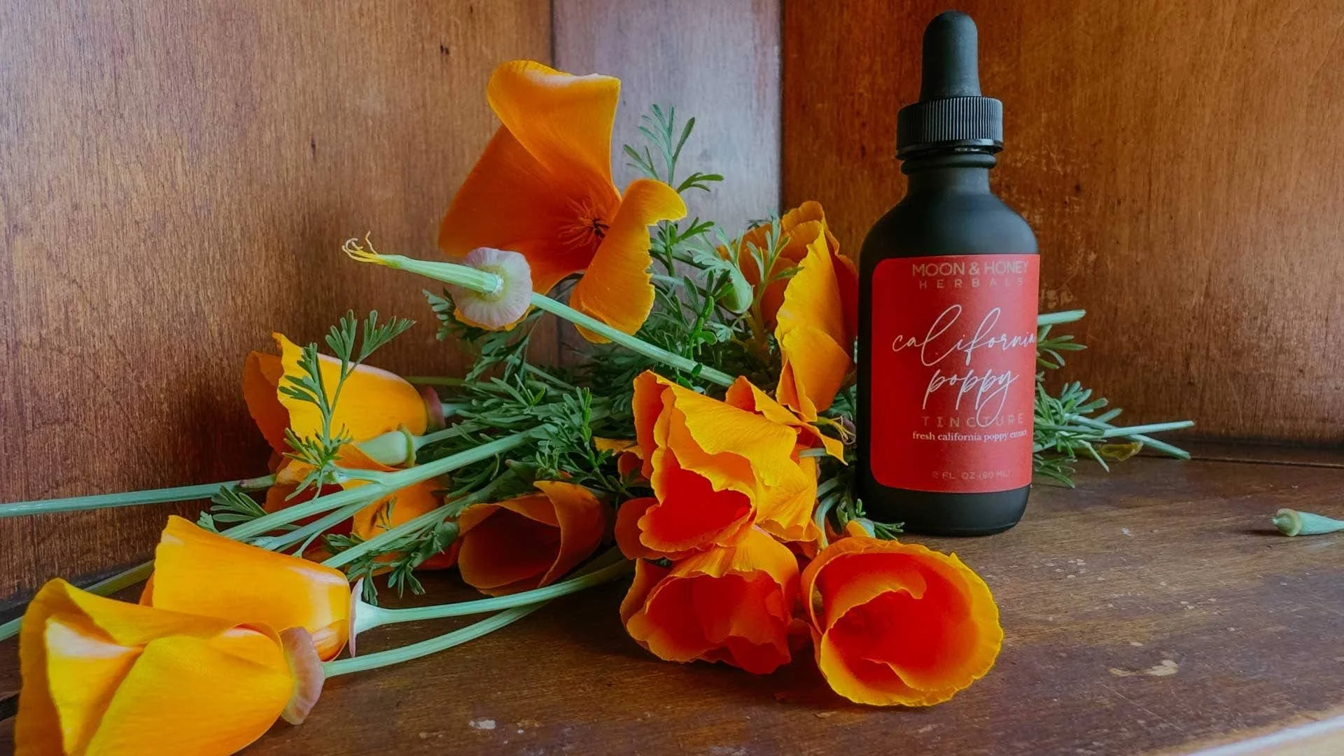 California Poppy Nervine Herbal Extract.jpg