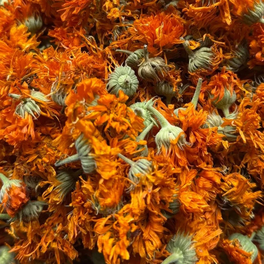 behind the scenes with calendula